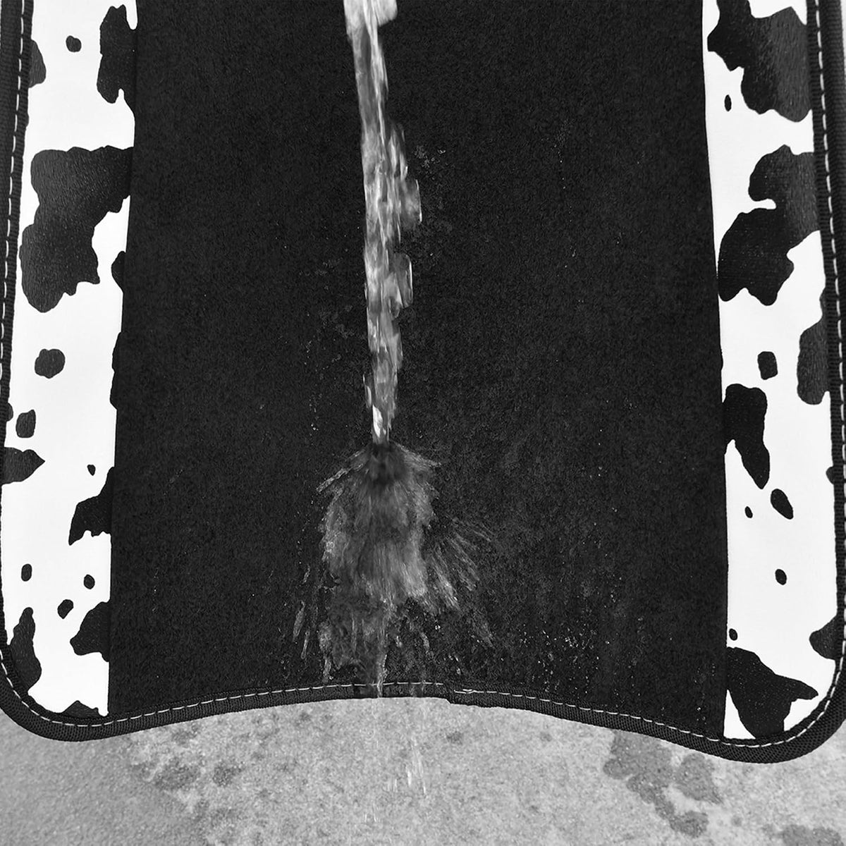 CAR PASS Waterproof Universal Car Floor Mats, Leopard Print Car Mats Fit for SUV,Vans,sedans, Trucks,Set of 4pcs Car Carpet with Driver Heel Pad and Nibs Backing, Leopard Car Accessories Gray Leopard