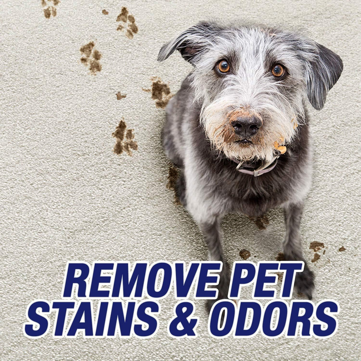 Resolve Ultra Pet Carpet Cleaner Spray – for Removal of Pet Stains & Odors, 32oz