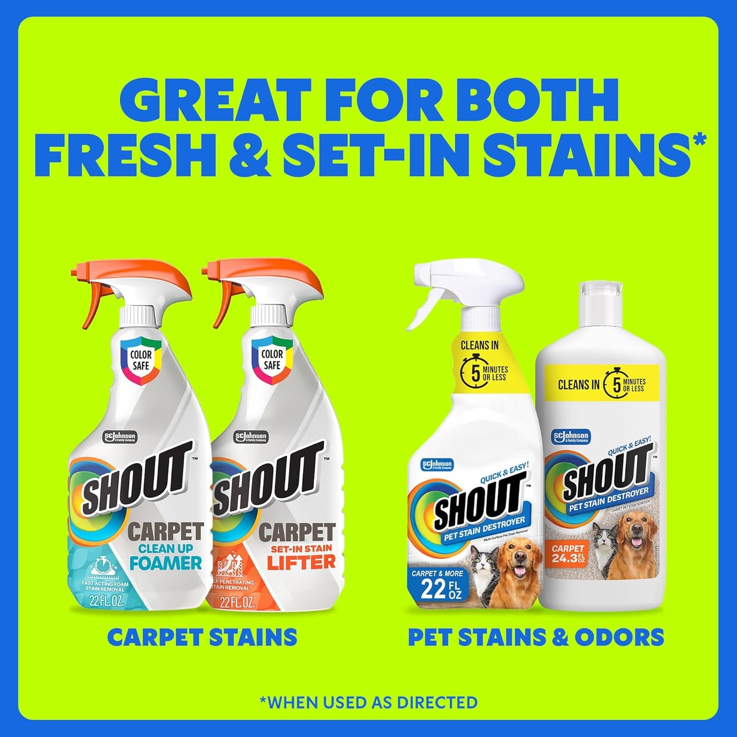 Shout Carpet Set-In Stain Lifter Spray, Rug & Carpet Cleaner, Color Safe and Fast Acting Spot & Stain Remover, 22 oz Trigger Spray