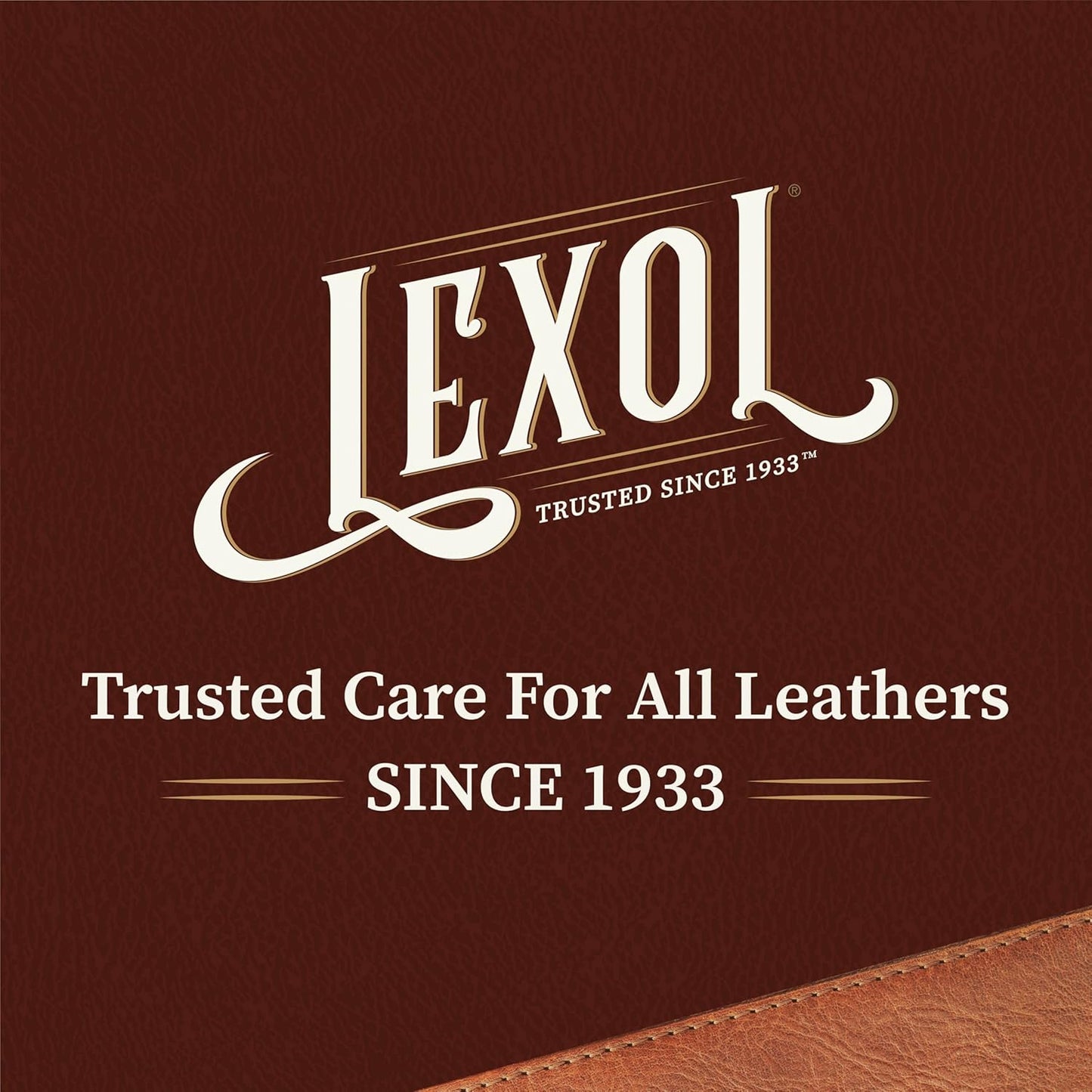Lexol All Leather Cleaner, Naturally Derived Leather Care Cleaner with Aloe Vera, Great for Car Interiors, Boots, Furniture, Bags, Jackets and More, 16.9 fl oz