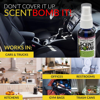 Scent Bomb Air Freshener Spray, Long-Lasting Odor Eliminator - Effective Deodorizer for Home & Car, Fresh Room Spray for Kitchen, Bathroom & Smell Neutralizer - 1 oz Pack of 4, Black Cherry Scent