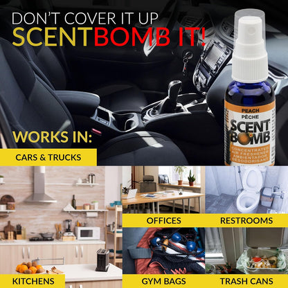 Scent Bomb Air Freshener Spray, Long-Lasting Odor Eliminator - Effective Deodorizer for Home & Car, Fresh Room Spray for Kitchen, Bathroom & Smell Neutralizer - 1 oz Pack of 4, Black Cherry Scent