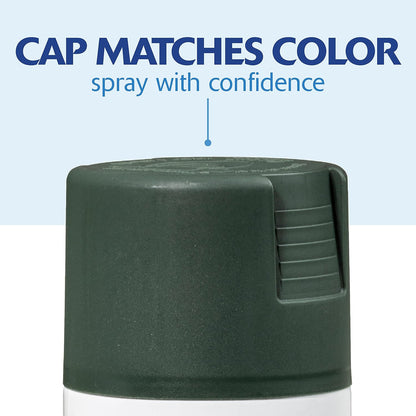 Rust-Oleum 334029 Painter's Touch 2X Ultra Cover Spray Paint, 12 oz, Gloss Clear - Colors F