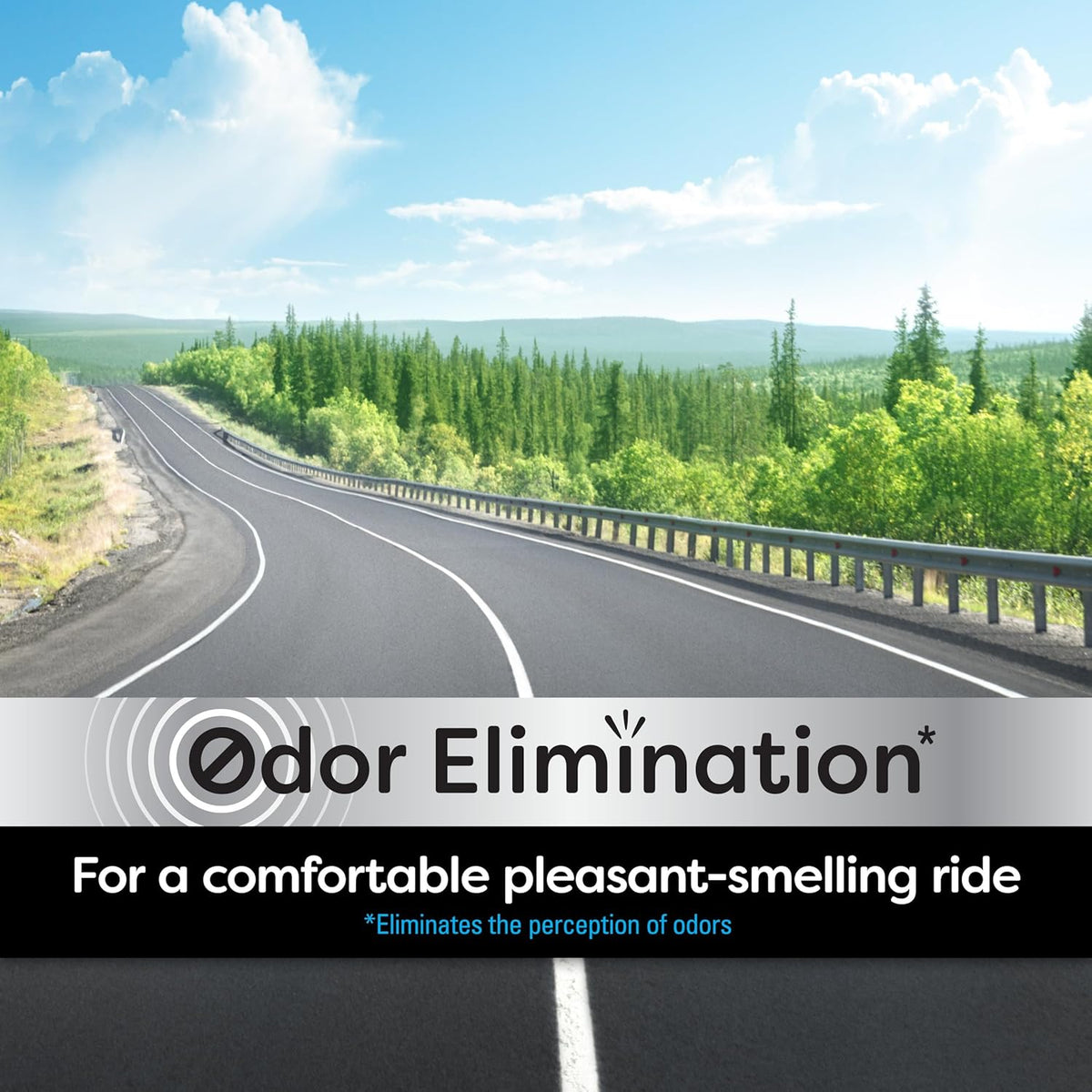 Refresh Your Car! Air Freshener (Alpine Meadow/Summer Breeze Scent, 2 Pack)