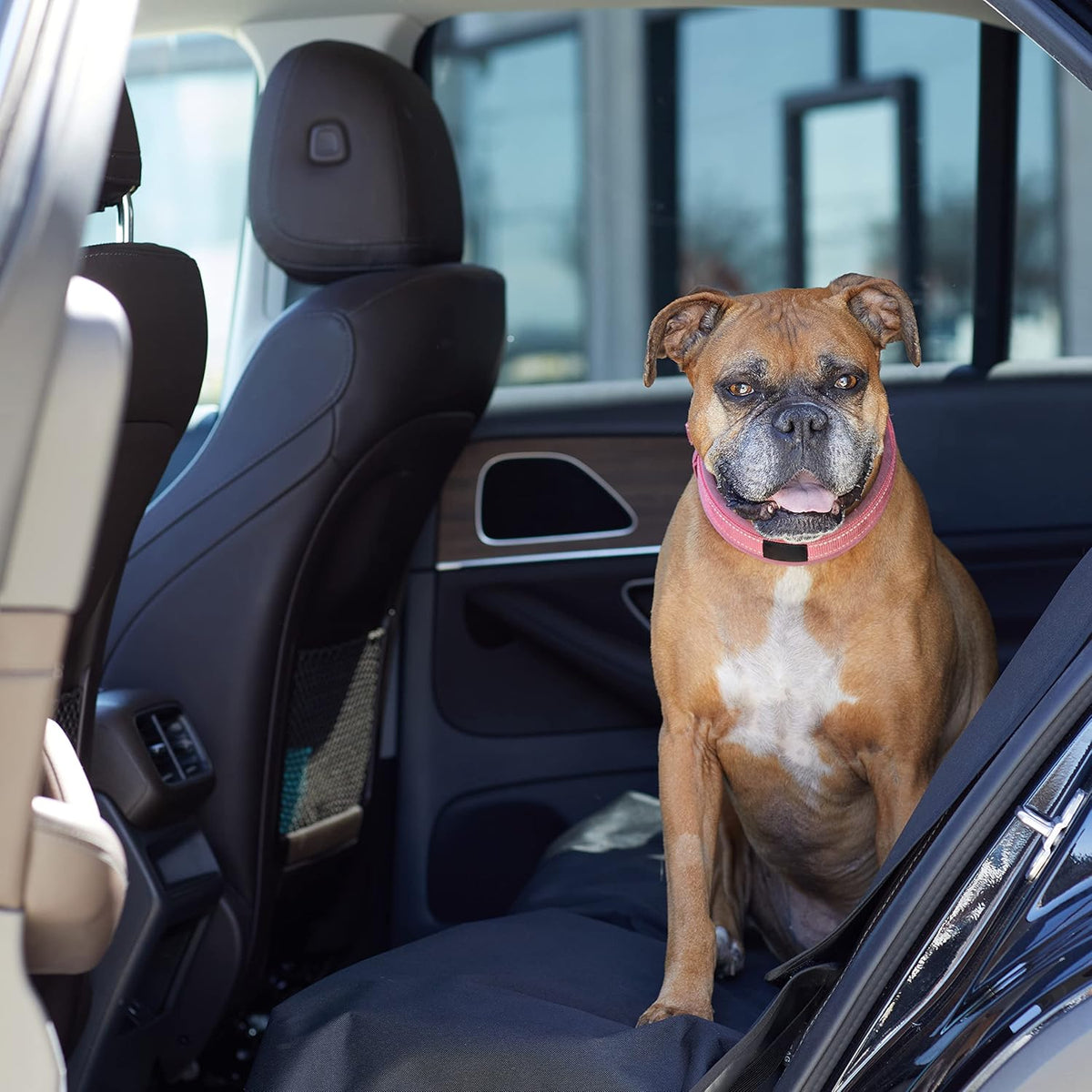 Amazon Basics Waterproof Dog Car Seat Cover, Scratch Proof Protector for Pet, Car Back Bench, 56 x 47 inch, Black