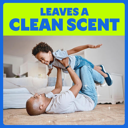 Shout Carpet Set-In Stain Lifter Spray, Rug & Carpet Cleaner, Color Safe and Fast Acting Spot & Stain Remover, 22 oz Trigger Spray