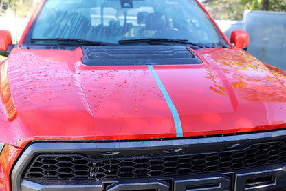 303 Products Touchless Sealant - SiO2 Water Activated Paint & Glass Protection - Spray On, Rinse Off - Lasts 2X Longer Than W- Deep, Wet Shine, 32 fl. oz. (30394CSR)