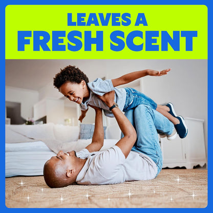 Shout Carpet Clean Up Foamer Rug & Carpet Cleaner, Color Safe and Fast Acting Spot & Stain Remover, 22 oz Trigger Spray