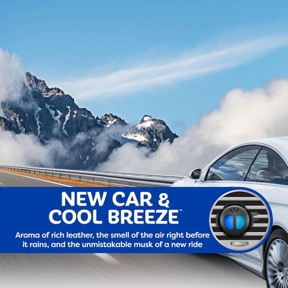 Refresh Your Car! Air Freshener (Alpine Meadow/Summer Breeze Scent, 2 Pack)