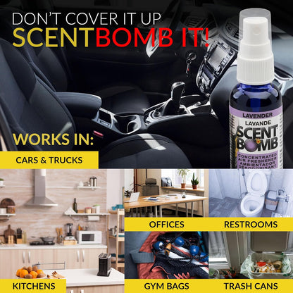 Scent Bomb Air Freshener Spray, Long-Lasting Odor Eliminator - Effective Deodorizer for Home & Car, Fresh Room Spray for Kitchen, Bathroom & Smell Neutralizer - 1 oz Pack of 4, Black Cherry Scent