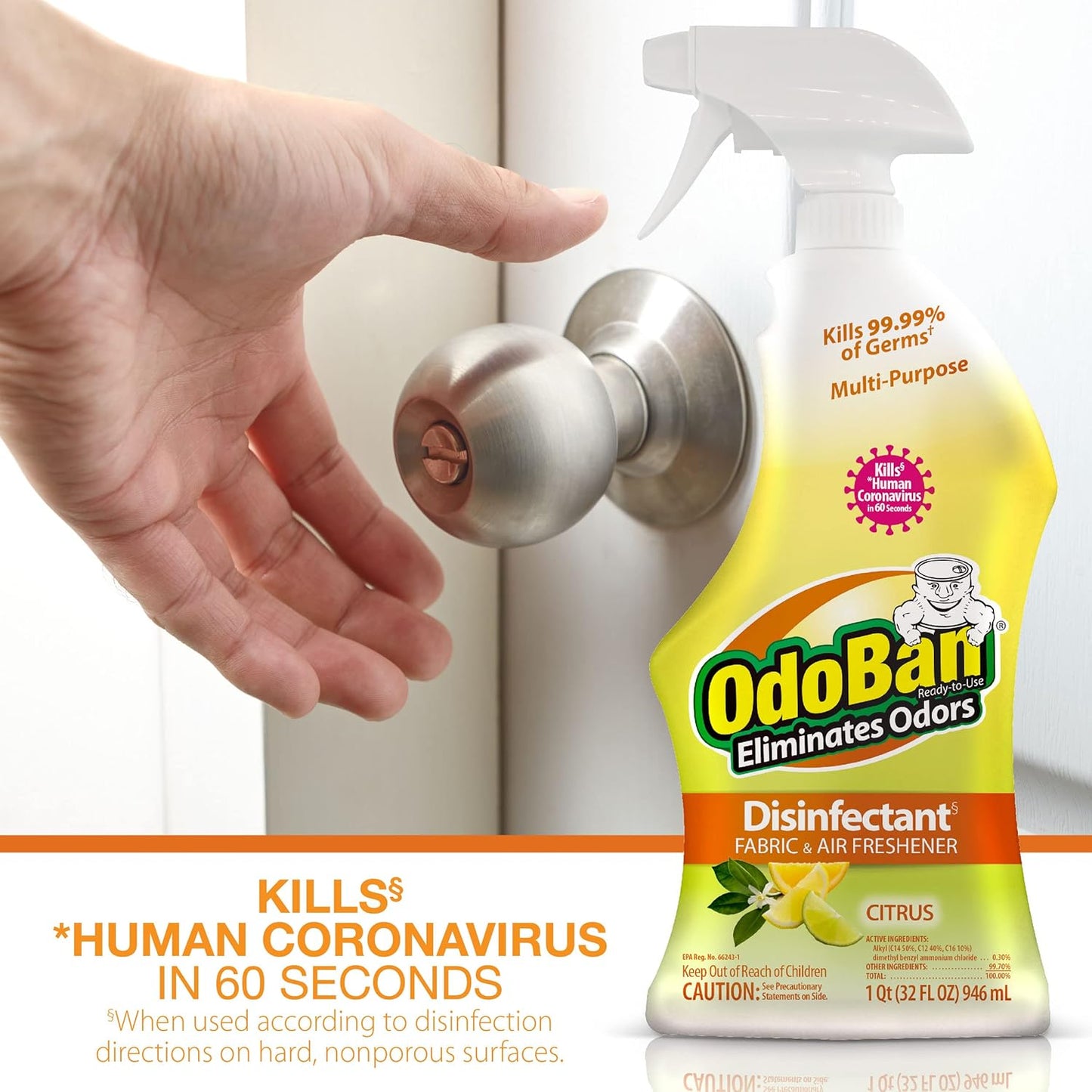 OdoBan Ready-to-Use Disinfectant and Odor Eliminator, 32 Ounce Spray Bottle, Original Eucalyptus Scent