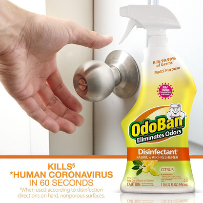 OdoBan Ready-to-Use Disinfectant and Odor Eliminator, 32 Ounce Spray Bottle, Original Eucalyptus Scent