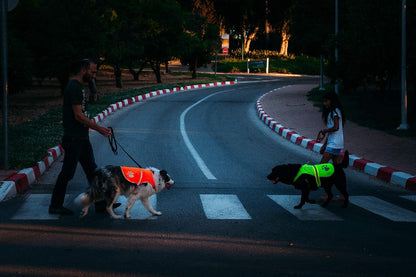 Safety Reflective Orange Vest - Side Release Buckles, High Visibility to Keep Your Dog Safe from Cars & Hunting Accidents