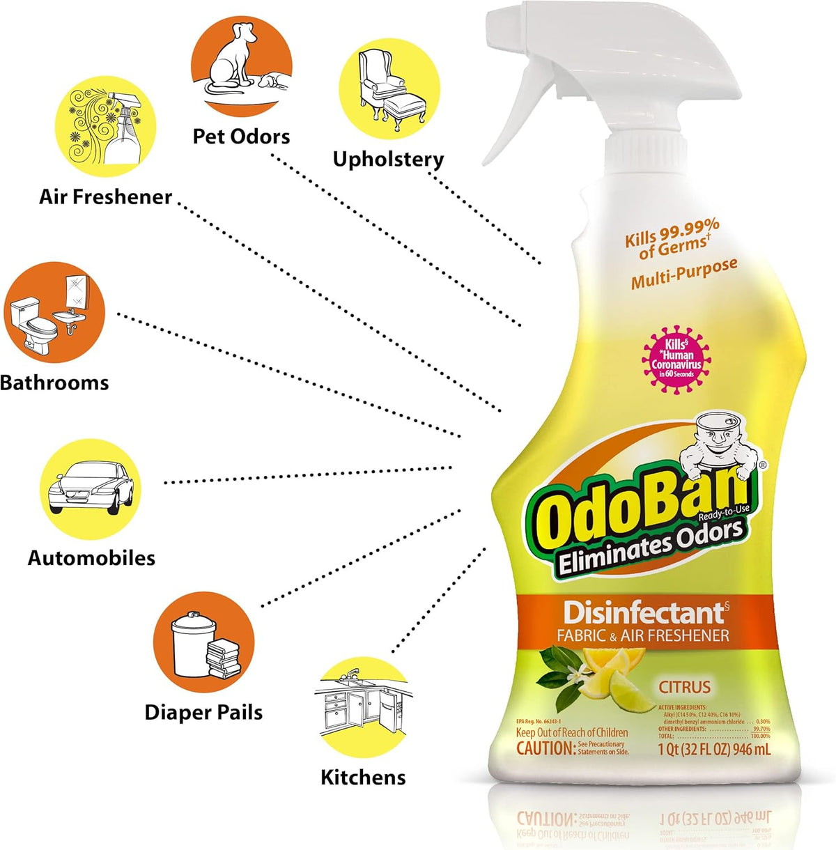 OdoBan Ready-to-Use Disinfectant and Odor Eliminator, 32 Ounce Spray Bottle, Original Eucalyptus Scent