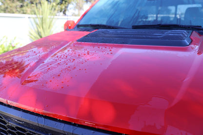 303 Products Touchless Sealant - SiO2 Water Activated Paint & Glass Protection - Spray On, Rinse Off - Lasts 2X Longer Than W- Deep, Wet Shine, 32 fl. oz. (30394CSR)