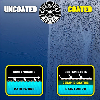 Chemical Guys Hydro Charge Ceramic Spray Coating 16 Fl Oz, with Monster Extreme Microfiber Towels (3 Pack) High Gloss Paint Protection Spray with Thick Plush Towels for Car Wash Drying and Detailing
