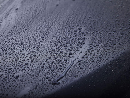 303 Products Touchless Sealant - SiO2 Water Activated Paint & Glass Protection - Spray On, Rinse Off - Lasts 2X Longer Than W- Deep, Wet Shine, 32 fl. oz. (30394CSR)