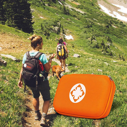 276PCS First Aid Kit Home Car Camping Hiking Emergency Supplies Small Compact Lovely Bag for School Outdoor, Basic Outdoor Essentials Survival Kit for Travel AMORNING