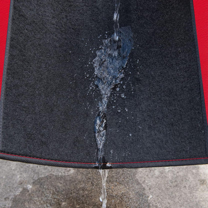 CAR PASS Rainbow Waterproof Universal Fit Faux Leather Car Carpet- Anti-Slip Nibbed Backing Floor Mats for SUV, Vans,Sedans,Trucks, Automotive Set of 4 for Women (Black with Red)