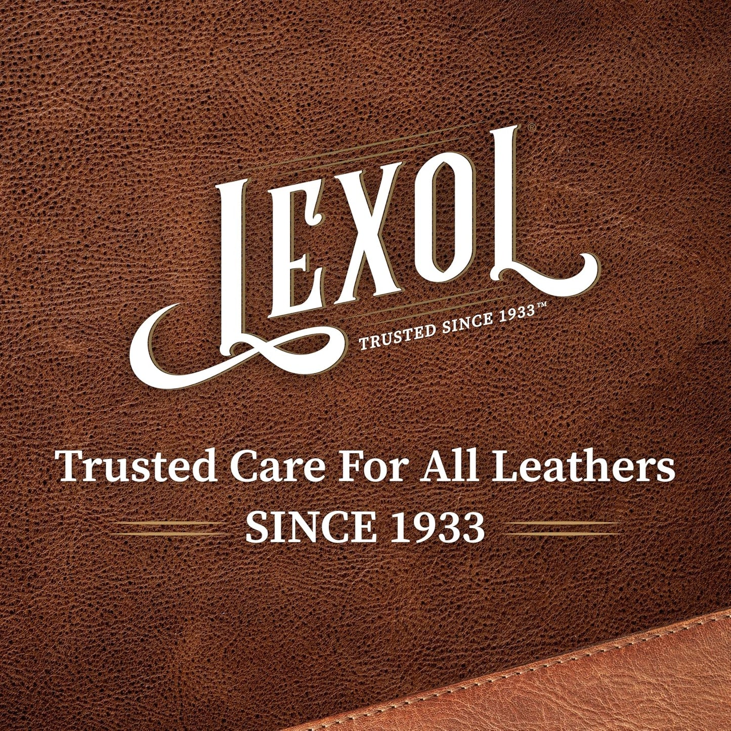 Lexol All Leather Conditioner for Car Seats and Interiors, Couches and Furniture, Shoes and Boots, Bags and Jackets, Baseball Gloves, Horse Saddles, 16.9 oz